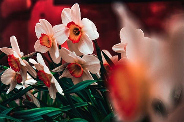 2025年带来财运的网名(共717个)