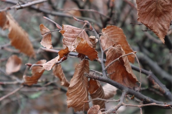 2025年快手最火网名(共613个)