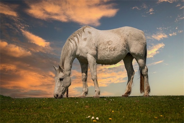 三个字唯美情侣网名(522对)