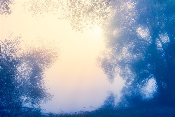 2025年最火抖音网名(595个)