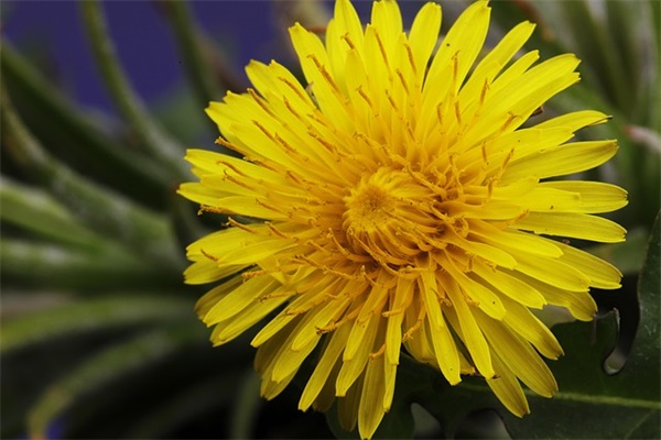 最有意义的网名(共544个)