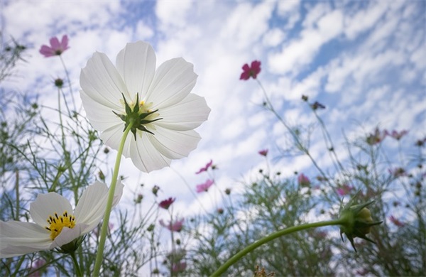 2025男最红网名(535个)