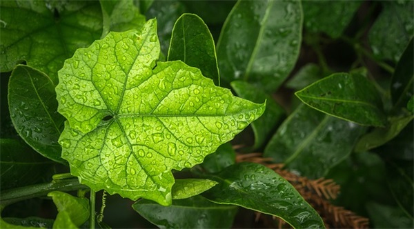 非常有寓意的网名(共507个)