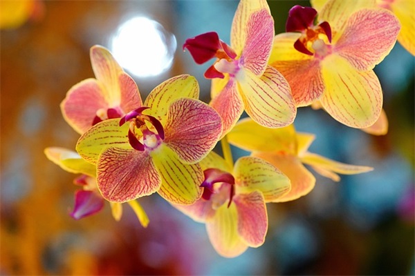 有创意好点的教育公司名字