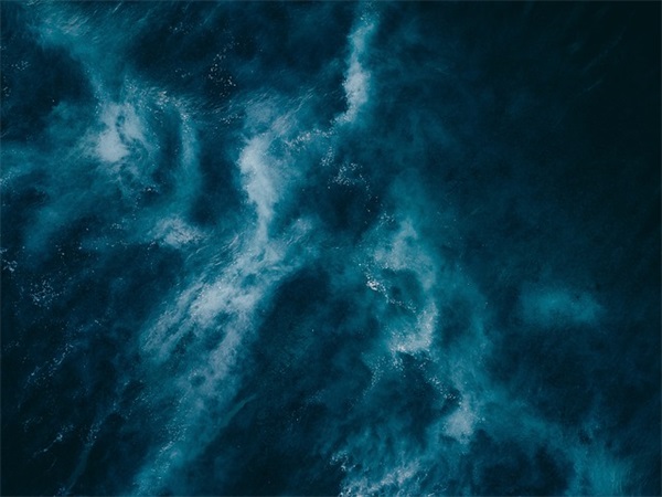 网红公司名称推荐