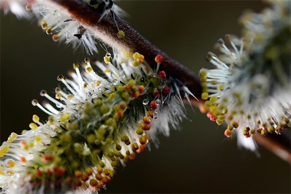 礼记公司起名字大全
