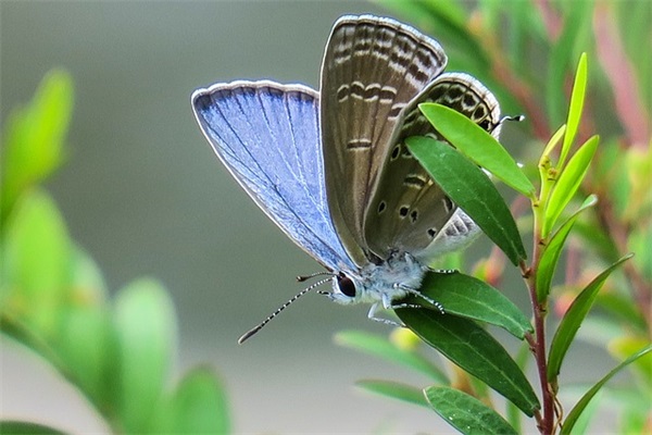 消防公司名字怎么起才好