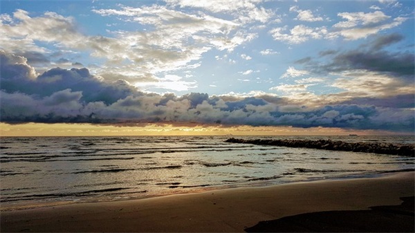 适合保健品的公司名