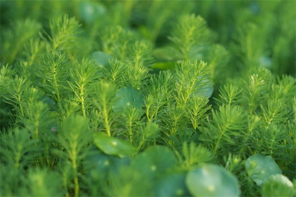 艺术公司聚财的名字