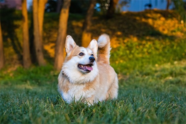 有关读书的名言警句84句