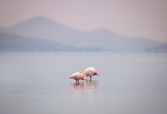 关于讲信用的名言
