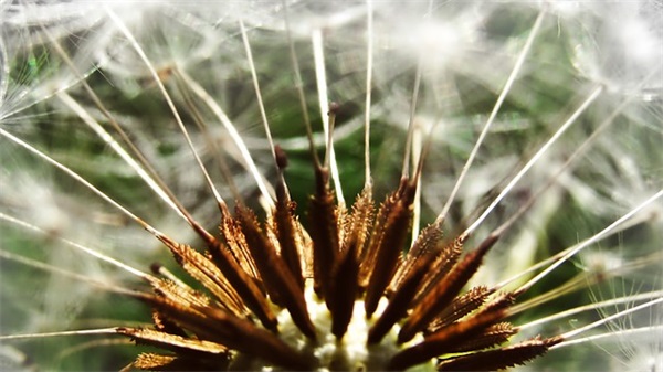 名言警句励志73句