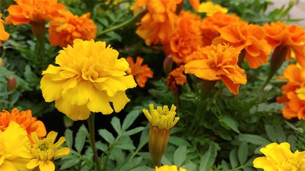 有性的励志名言114句