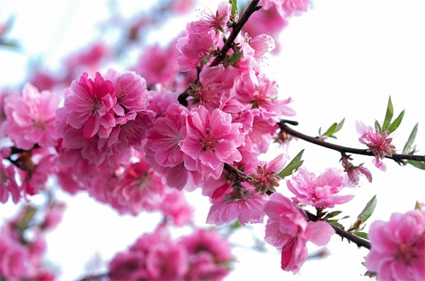 性励志名言102句