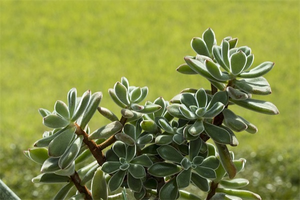 超短的名人名言大全85句