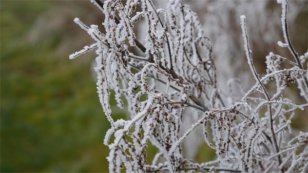 每天一句英语名言