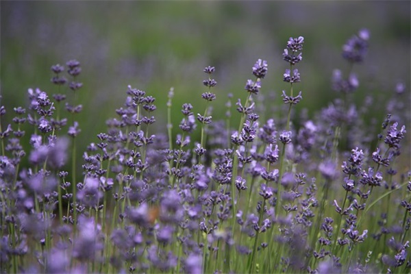 名言警句大全读书的100句