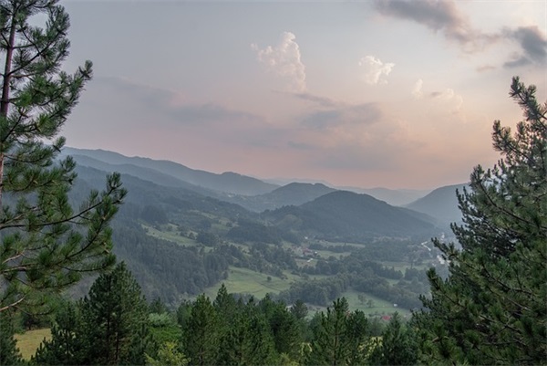 读书的好处名言81句