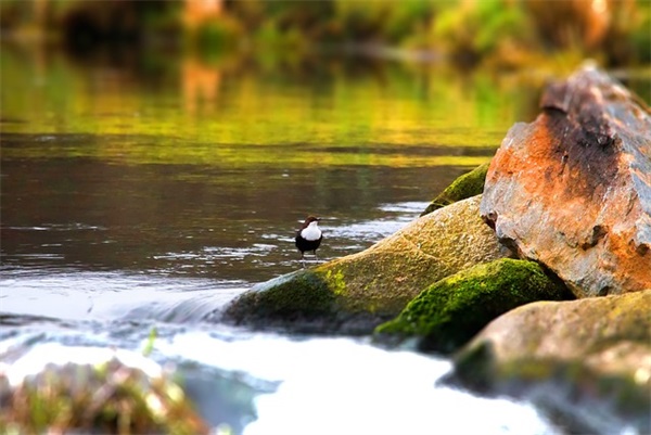 关于秘密的名人名言63句