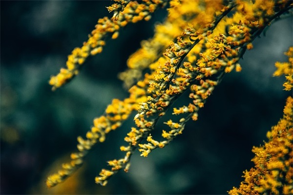 赞美同学的名言警句