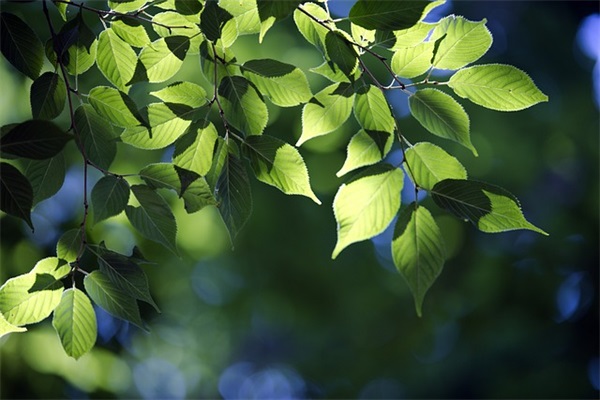 管理名人名言100句