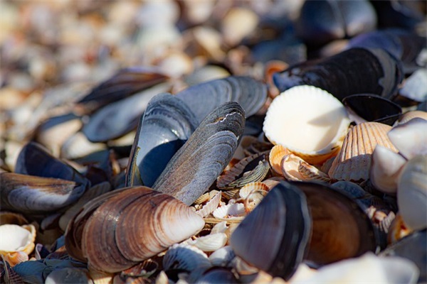 鼓励别人勤劳的名言