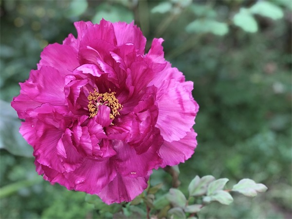 名言警句美德94句