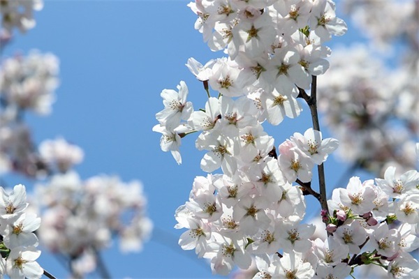 职场名人名言80句