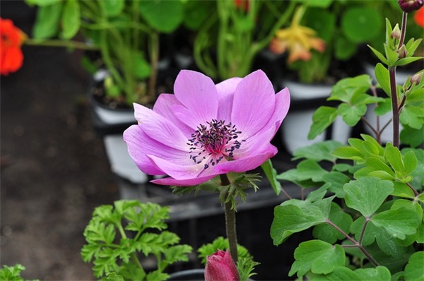 男孩名字帅气涵养古风（通用1182个）