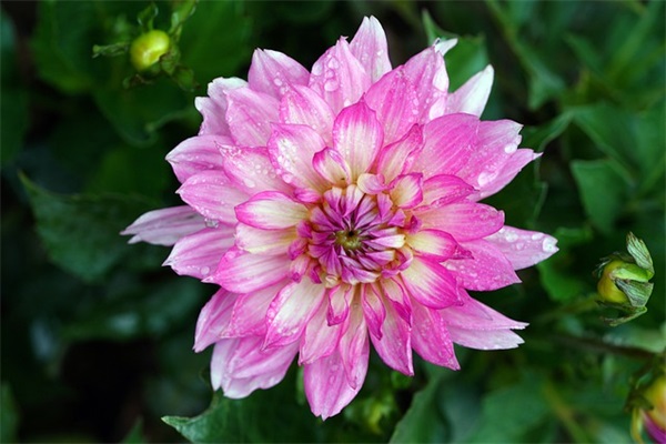 寓意阳光开朗的男孩名字（1123个）