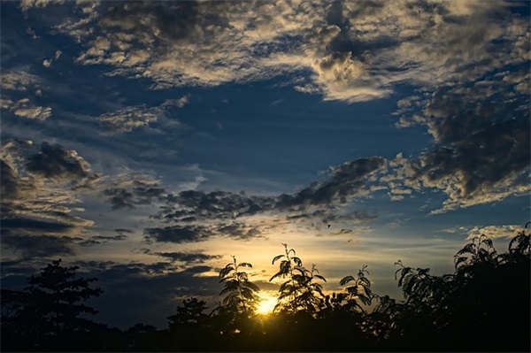 龙年女儿起名（1097个）