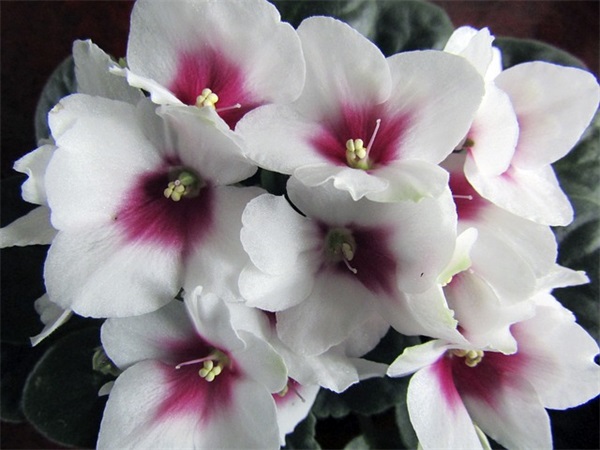 关于夏天的小名（实用1067个）