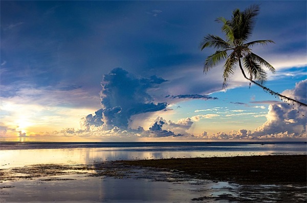 2024年11月份孩子小名（好听1013个）