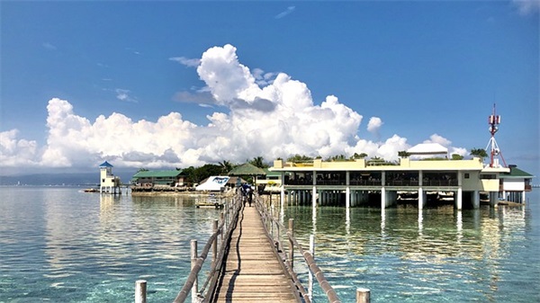 苗姓古风名字（分享871个）