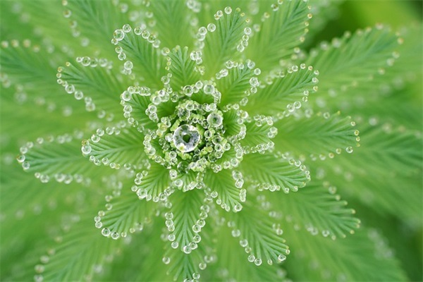 夏天出生的女孩乳名优选959个