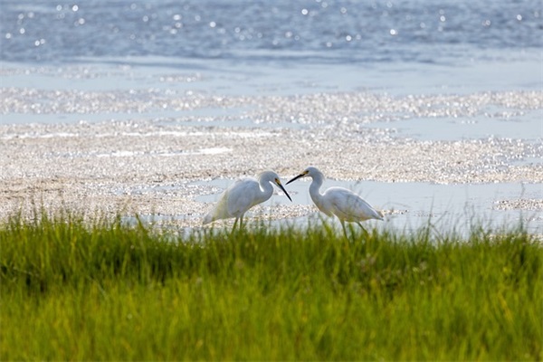 2024年女孩乳名可爱洋气（889个）