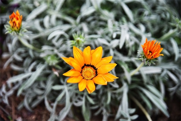 2024最洋气名字（最新版884个）