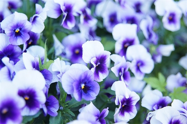 2024九月出生的女孩起什么名字好听呢（1197个）