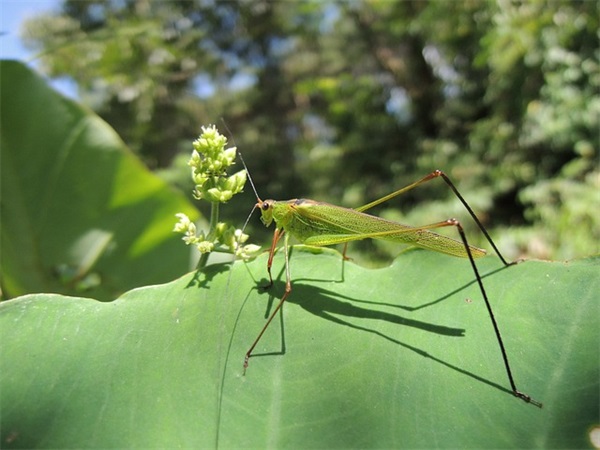 农历六月出生取什么名字好（特别推荐1148个）