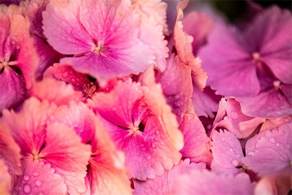 2024男宝宝起名字大全免费取名1121个