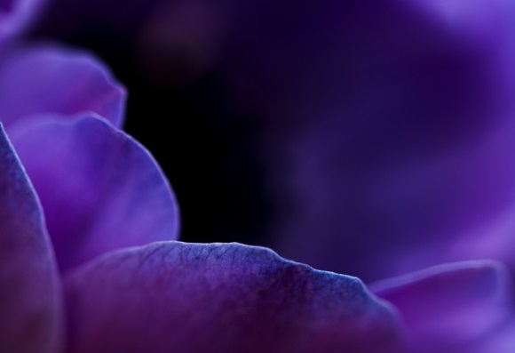 经典励志名言（二）