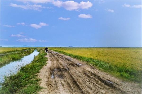 农历2024年九月生的女宝名字简单721个