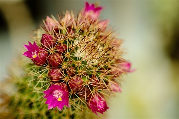 最热新生儿姓名（精彩推荐722个）