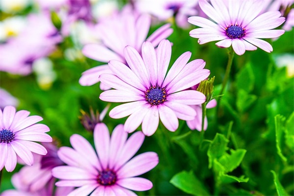 女孩子响亮大气的名字（最新1125个）