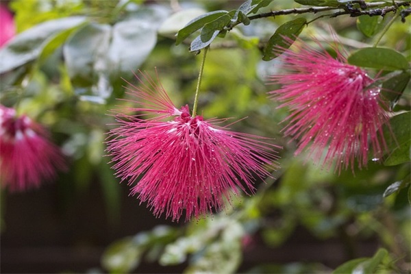 好听的优雅的男孩名字（必备1064个）