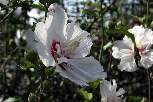 上午生的女孩子起名字（简洁1042个）