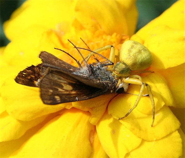 宝宝生辰八字起名（常用1042个）