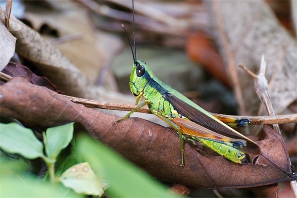 夏天出生的宝宝小名大全（1141个）