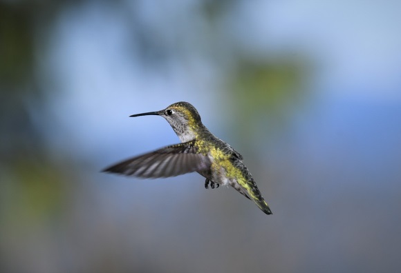 关于勇气或成功的名言