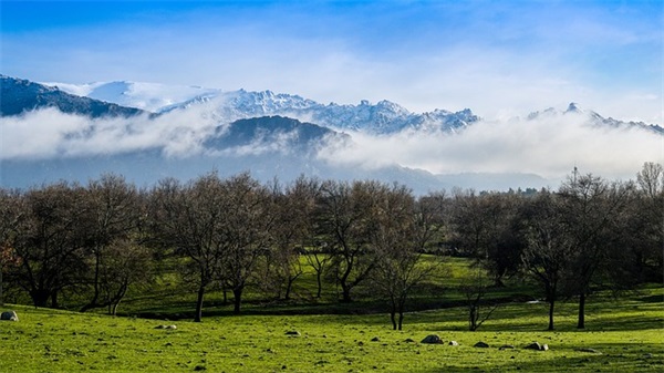 三胎小名合集677个